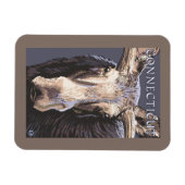 ConnecticutMoose Up Sluiten Magneet (Horizontaal)