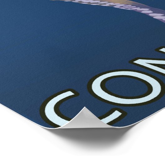 ConnecticutOctopus Scene Poster (Hoek)