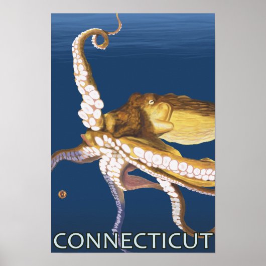 ConnecticutOctopus Scene Poster (Voorkant)