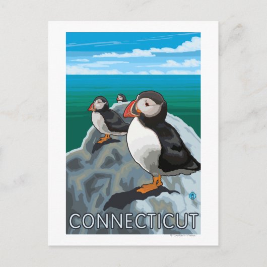 ConnecticutPuffins-scène Briefkaart (Voorkant)