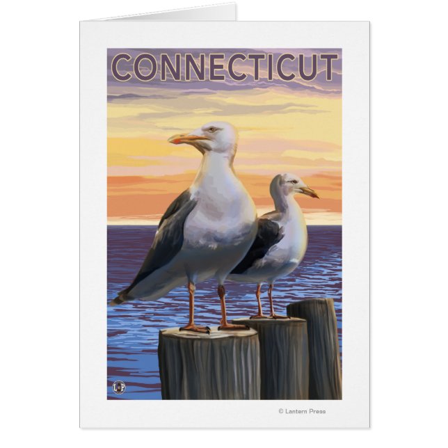 ConnecticutSea Gulls Scene (Voorkant)