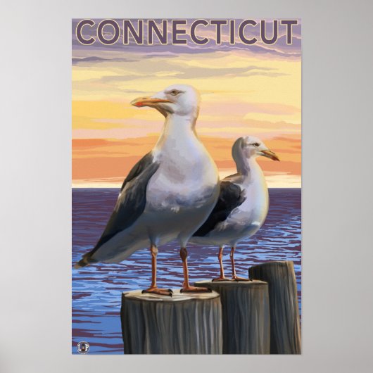 ConnecticutSea Gulls Scene Poster (Voorkant)