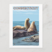 ConnecticutSea Lions Scene Briefkaart (Voorkant)