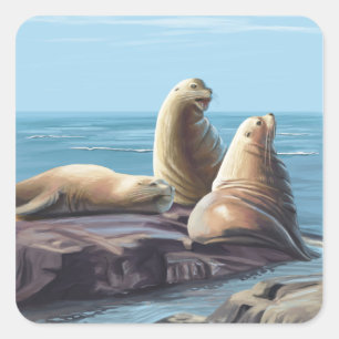ConnecticutSea Lions Scene Vierkante Sticker
