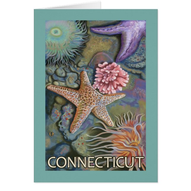 ConnecticutTidepool-scène (Voorkant)