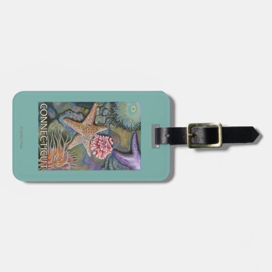 ConnecticutTidepool-scène Bagagelabel (Voorkant horizontaal)