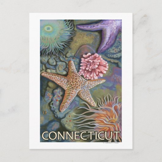 ConnecticutTidepool-scène Briefkaart (Voorkant)