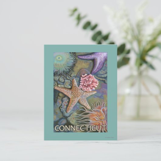 ConnecticutTidepool-scène Briefkaart (Staand voorkant)