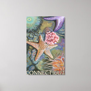 ConnecticutTidepool-scène Canvas Afdruk