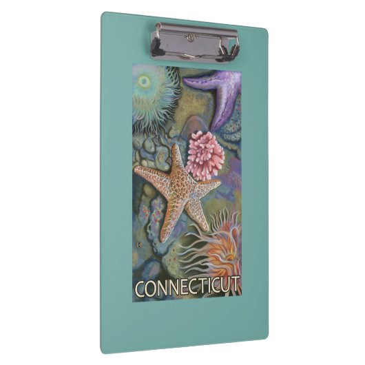 ConnecticutTidepool-scène Klembord (Rechts)