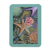 ConnecticutTidepool-scène Magneet (Verticaal)