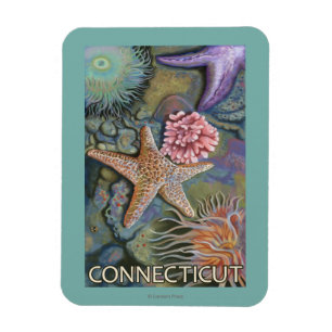 ConnecticutTidepool-scène Magneet