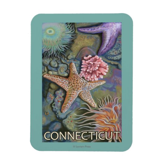 ConnecticutTidepool-scène Magneet (Verticaal)