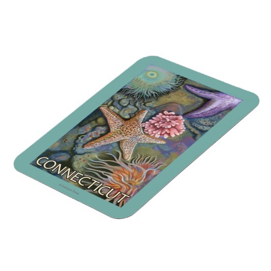 ConnecticutTidepool-scène Magneet (Linkerzijde)