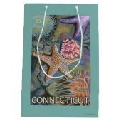 ConnecticutTidepool-scène Medium Cadeauzakje (Achterkant)
