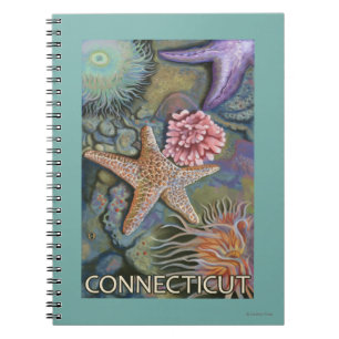 ConnecticutTidepool-scène Notitieboek
