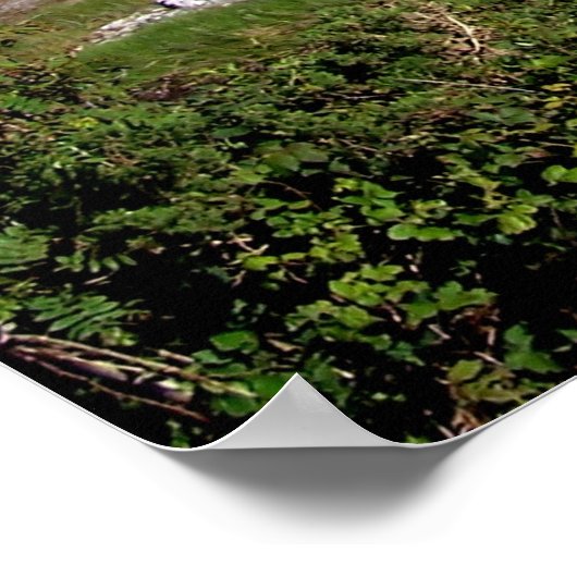 Connemara 11x14 poster (Hoek)