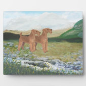 Connemara Countryside Fotoplaat (Voorkant)