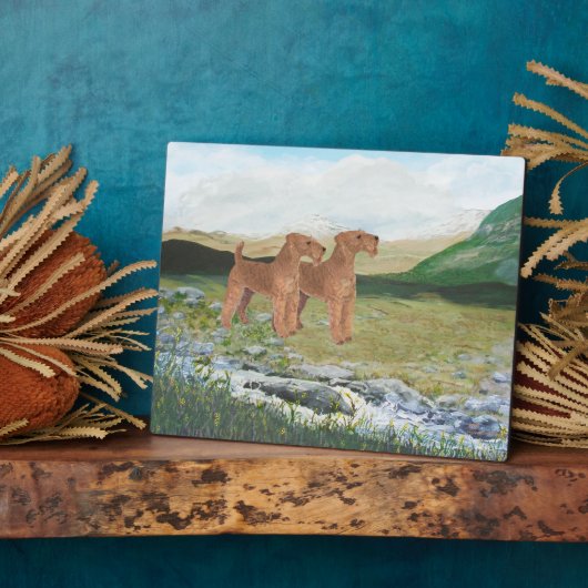 Connemara Countryside Fotoplaat (Zijkant)