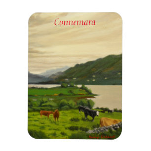 Connemara Ierland Schitterende Rundveehouderij met Magneet