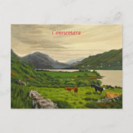 Connemara Ireland Schilderachtig Rundvee Boerderij Briefkaart