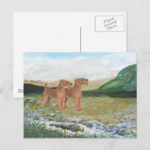 Connemara Platteland Briefkaart (Voorkant / Achterkant)