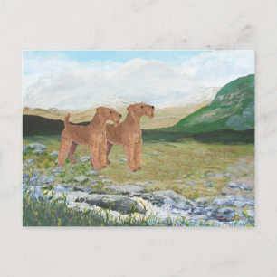 Connemara Platteland Briefkaart