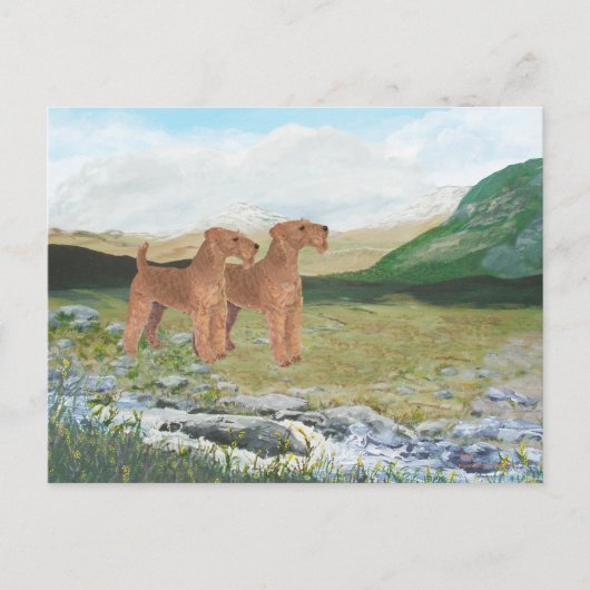 Connemara Platteland Briefkaart (Voorkant)