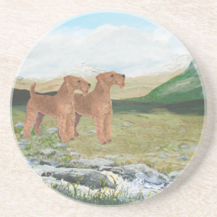 Connemara Platteland Zandsteen Onderzetter