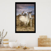 Connemara Ponies. Poster door cARTerART (Keuken)