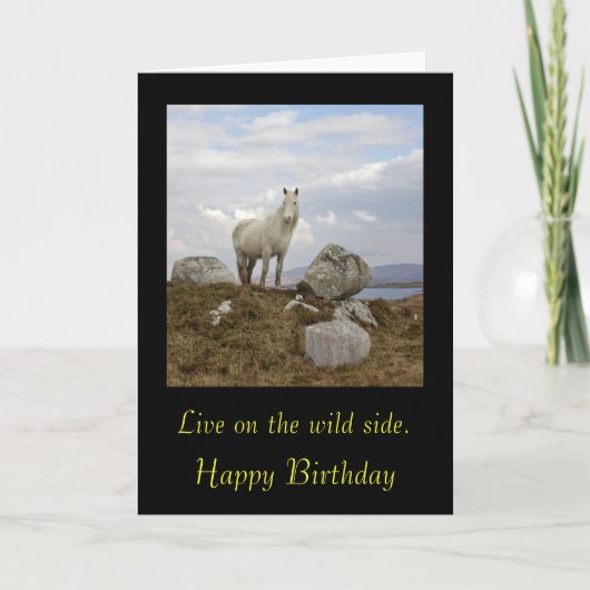 Connemara Pony, Leef aan de wilde kant. ,Gelukkig. Kaart (Voorkant)