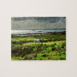 Connemara pony's Galway Ierland. Legpuzzel