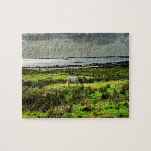 Connemara pony's Galway Ierland. Legpuzzel