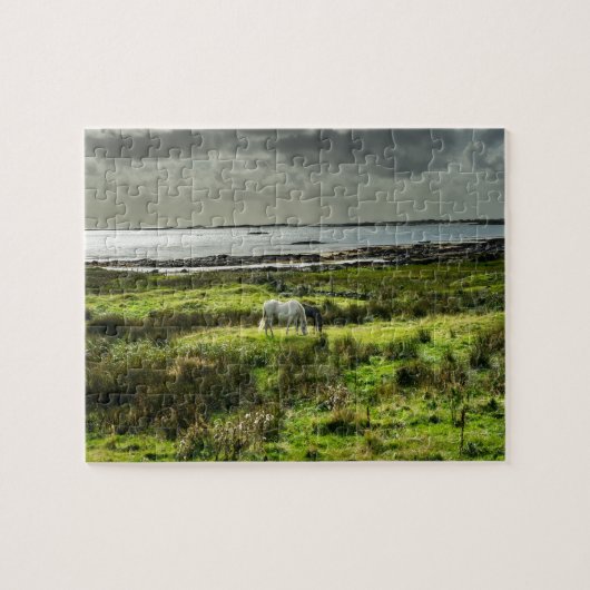 Connemara pony's Galway Ierland. Legpuzzel (Horizontaal)