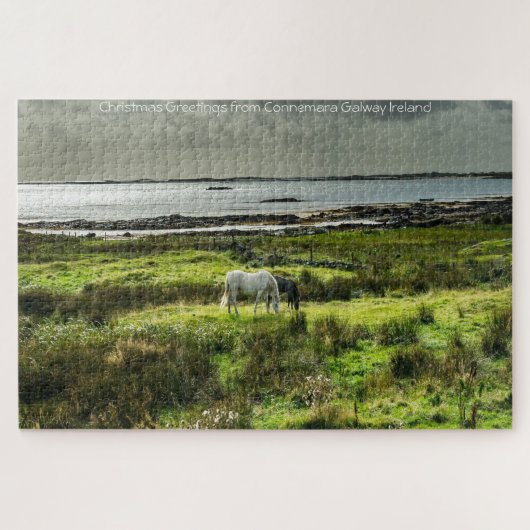 Connemara pony's Galway Ierland. Legpuzzel (Horizontaal)