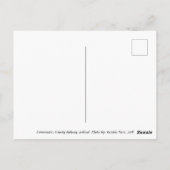 Connemara Sheep, Ierland Briefkaart (Achterkant)