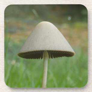 Conocmay rickenii Mushroom Hard Plastic Onderzette Bier Onderzetter