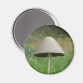 Conocmay rickenii Mushroom Magnet (Voorkant / Achterkant)