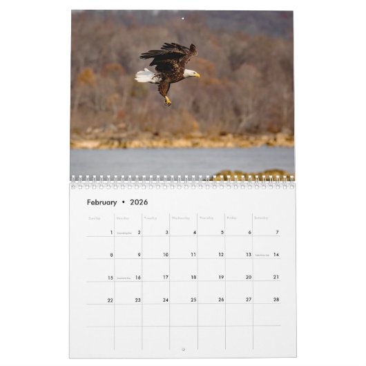 Conowingo Eagles Kalender (Feb 2026)