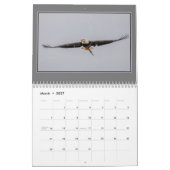 Conowingo Eagles Kalender (Mar 2027)