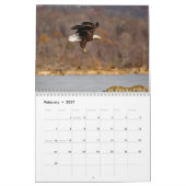 Conowingo Eagles Kalender (Feb 2027)
