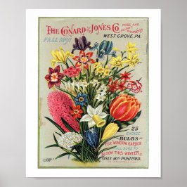 Conrad & Jones 1897 Roos- en Plant-telers Poster