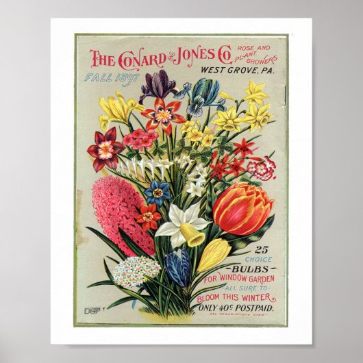 Conrad & Jones 1897 Roos- en Plant-telers Poster (Voorkant)