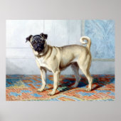 Conradijn Cunaeus Portrait of Edwin Vom Rath's Pug Poster (Voorkant)