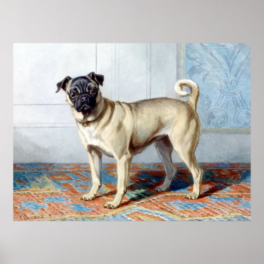 Conradijn Cunaeus Portrait of Edwin Vom Rath's Pug Poster (Voorkant)