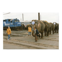 Conrail Elephants op The March