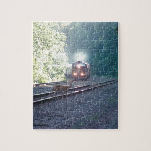 Conrail Office Car Train-OCS 8/22/97 Puzzle Legpuzzel (Verticaal)