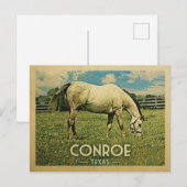 Conroe Texas Horse Boerderij - Vintage Travel Briefkaart (Voorkant / Achterkant)