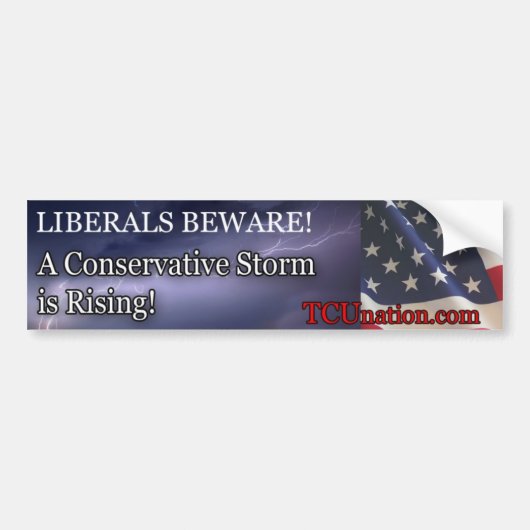 Conservatief Storm stijgend 1 Bumpersticker (Voorkant)