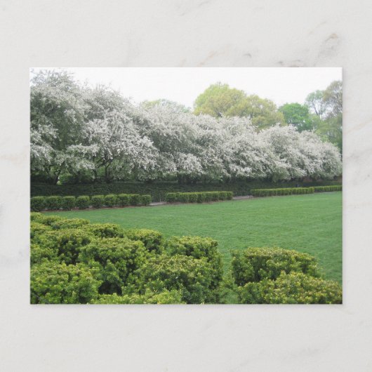 Conservatory Garden Central Park New York City NYC Briefkaart (Voorkant)